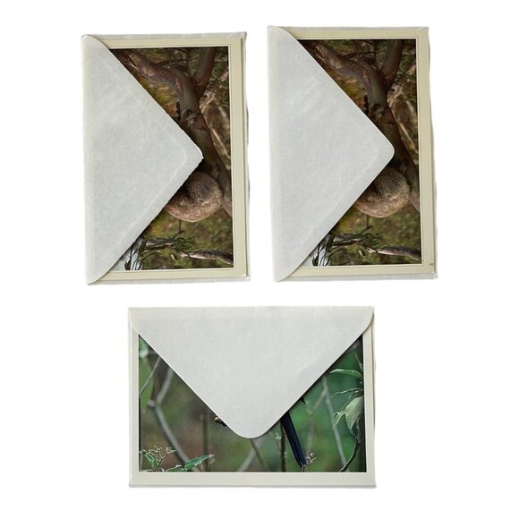 Australian Wildlife Photography Greeting Cards - Picture 7 of 16